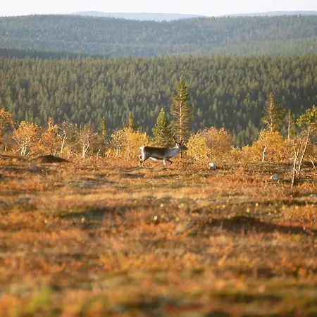 Club Pyhae Holysuites *